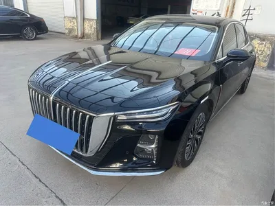 2024 Hongqi H5 2.0T Automatic Smart Connect Flag Smooth Edition, фото 1, лот 10287733