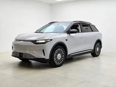 2023 Leapmotor C11 Pure Electric 500 Comfort Edition, фото 2, лот 11582031