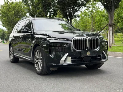 2023 BMW X7 xDrive40i Leading Luxury Package, фото 3, лот 10406095