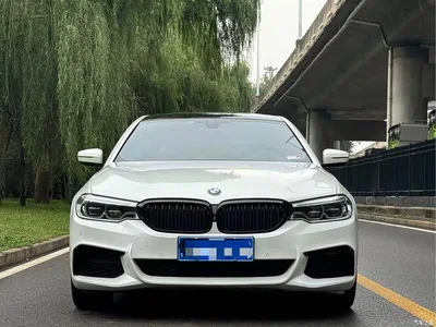 2020 BMW 5 Series 530Li Exclusive M Sport Package, фото 2, лот 11220022