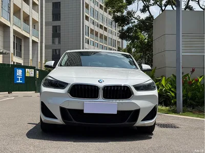 2022 BMW X2 sDrive25i M Sport Package, фото 2, лот 10238745