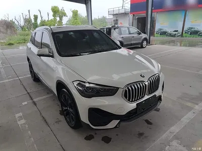 2020 BMW X1 sDrive20Li Fashion Model, фото 4, лот 10467831