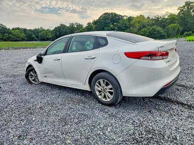 2016 KIA OPTIMA LX, фото 2, лот 10660651