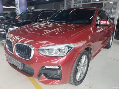 2019 BMW X4 xDrive25i M Sport Package, фото 2, лот 10476899