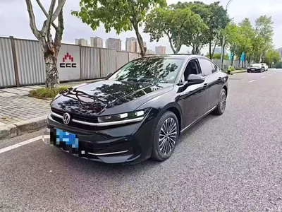 2024 Volkswagen Magotan 380TSI DSG Luxury Edition (Daimai Package), фото 2, лот 11548438
