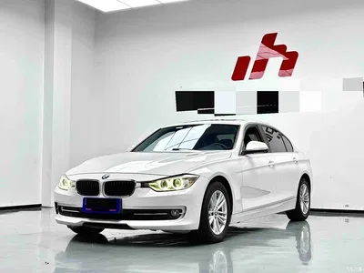 2015 BMW 3 Series 320Li Super Joy Fashion, фото 1, лот 10605189