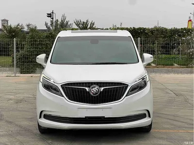 2017 Buick GL8 ES 28T Luxury China V, фото 2, лот 11212330