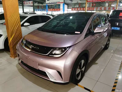 2023 BYD Dolphin 420km Fashion Edition, фото 1, лот 11468531