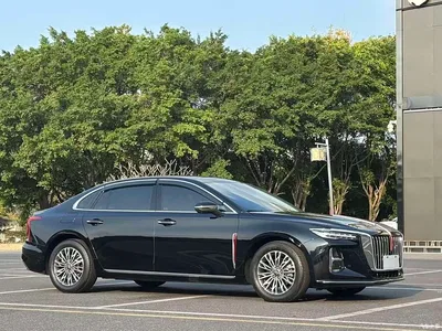 2025 Hongqi H5 1.5T DCT Flag Rhythm 500,000 Units Memorial Edition, фото 3, лот 10288689
