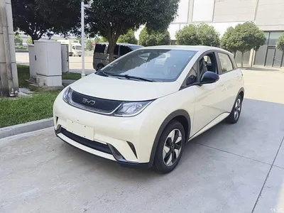 2025 BYD Dolphin 420km Freedom Edition, фото 1, лот 10258743