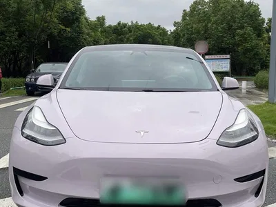 2019 Tesla Model 3 Standard Range Rear-Wheel Drive Upgrade, фото 3, лот 10375197