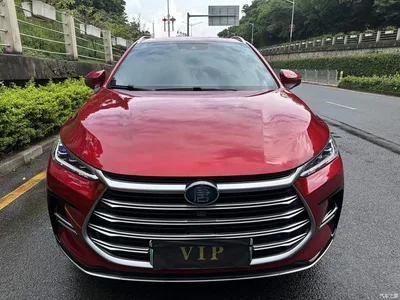 2021 BYD Tang New Energy DM 2.0T 4WD Performance Premium, фото 2, лот 10272907