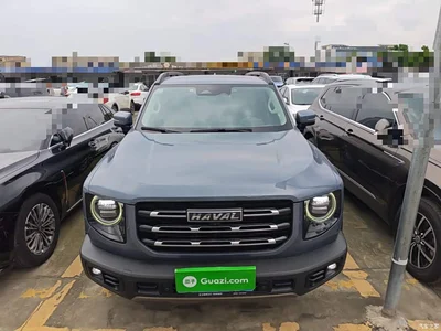 2021 Haval Big Dog 1.5T DCT 2WD Malinois Edition, фото 3, лот 11189909