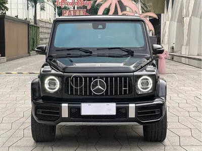 2023 Mercedes-Benz G-Class, фото 2, лот 10401633