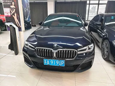 2021 BMW 5 Series Facelift 530Li Leading M Sport Package, фото 1, лот 11408483