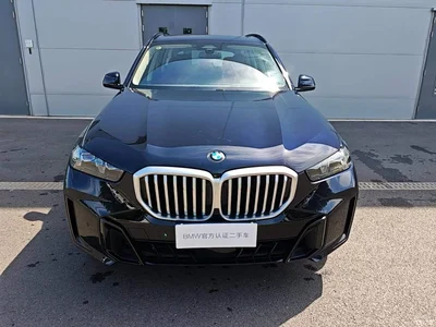 2025 BMW X5 Model xDrive 30Li Exclusive M Sport Blackout Package, фото 2, лот 10463546