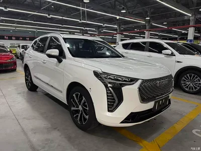 2021 Haval First Love 1.5T Automatic Junior Edition, фото 3, лот 11164998