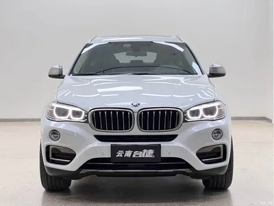 2017 BMW X6 xDrive35i Leading, фото 2, лот 10430584