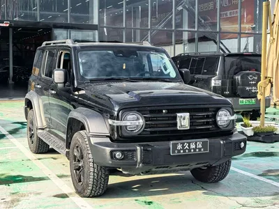 2021 Tank 300 Off-road Edition 2.0T Challenger, фото 3, лот 10385646