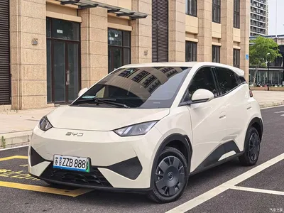 2025 BYD Seagull Smart Drive Edition 305km Vitality Version, фото 1, лот 10250393