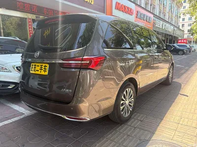 2021 Buick GL8 Land Business Class 652T Luxury, фото 4, лот 10256955