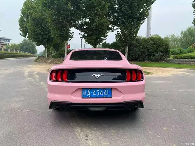 2018 Ford Mustang Model 2.3L EcoBoost, фото 4, лот 11205513