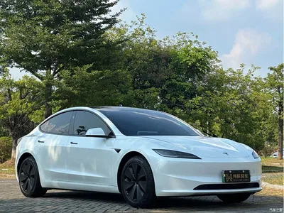 2025 Tesla Model 3 Model Rear-Wheel Drive Edition, фото 3, лот 11248661