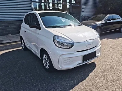 2022 Roewe Kaiwei CLEVER 311km Vitality Bobo Edition, фото 4, лот 11545722