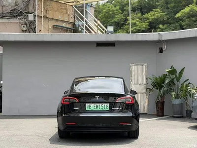 2022 Tesla Model 3 Model Rear-Wheel Drive Version, фото 4, лот 10354750