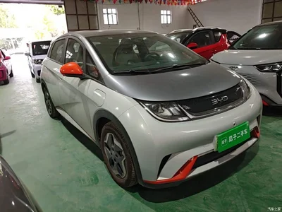 2021 BYD Dolphin 405km Freedom Edition, фото 4, лот 10837049