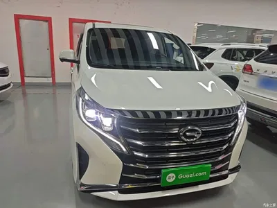 2021 GAC Trumpchi Trumpchi M8 Leading Show Series 390T Ultimate Edition, фото 3, лот 10387179