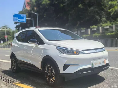 2021 BYD Yuan Pro 401KM Luxury Model, фото 3, лот 10382367