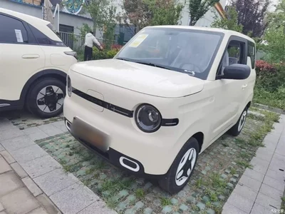 2025 Geely Galaxy Panda mini 210km Vitality Bear, фото 2, лот 10433455