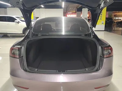 2022 Tesla Model 3 Model Rear-Wheel Drive Version, фото 4, лот 10887525