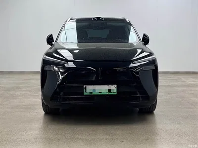 2025 WEY Lanshan AWD Max, фото 2, лот 11189271