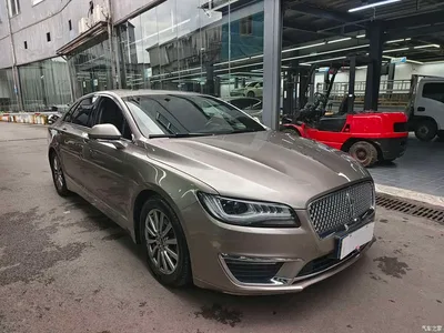 2019 Lincoln MKZ 2.0T Zunxiang Edition China V, фото 3, лот 10318795