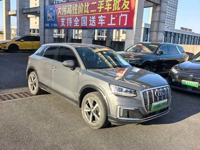 2019 Audi Q2L e-tron Pure Electric Smart Cool Edition, фото 1, лот 10473131