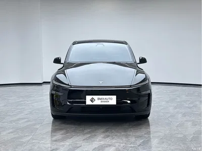 2025 Tesla Model Y Rear-Wheel Drive, фото 4, лот 10448753