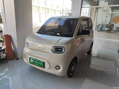 2024 Wuling Motors Hongguang MINIEV 3rd Generation 215km Youth Edition, фото 1, лот 10369055