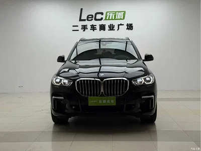 2022 BMW X5 xDrive 30Li Premium M Sport Package, фото 4, лот 11249335