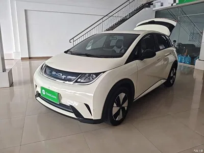 2023 BYD Dolphin 420km Freedom Edition, фото 2, лот 10886825