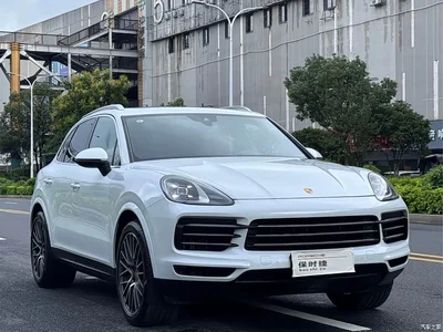 2019 Porsche Cayenne, фото 3, лот 10422774