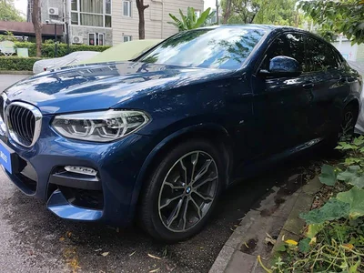 2019 BMW X4 xDrive30i M Sport Package, фото 1, лот 10476989