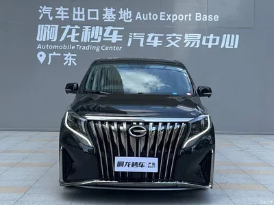 2021 GAC Trumpchi Trumpchi M8 Master Series 390T Flagship, фото 2, лот 10414673