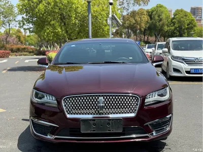 2019 Lincoln MKZ 2.0T Zunxiang Edition China V, фото 2, лот 10319632