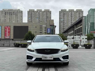 2021 Geely Xing Rui 2.0TD Luxury, фото 2, лот 10393206