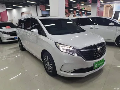 2022 Buick GL8 ES Landmark 653T Premium, фото 4, лот 10259352