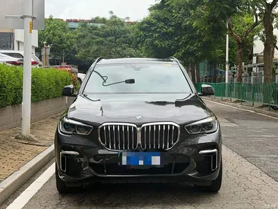 2023 BMW X5 xDrive 40Li M Sport Package, фото 2, лот 11520728