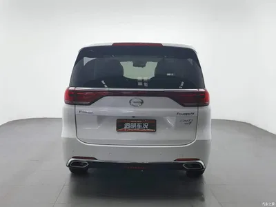 2018 GAC Trumpchi Trumpchi M8 320T Premium Edition, фото 4, лот 11183722