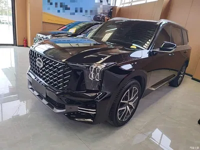 2022 GAC Trumpchi Trumpchi GS8 Pilot Series 2.0TGDI 2WD Luxury Smart Connect Edition (7-Seater), фото 1, лот 10389823